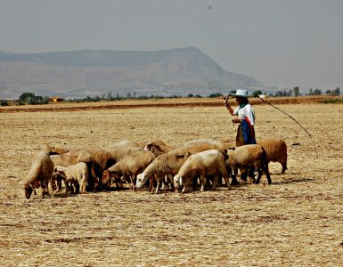 Moroccan Dialects and English Transliterations - Taste of 